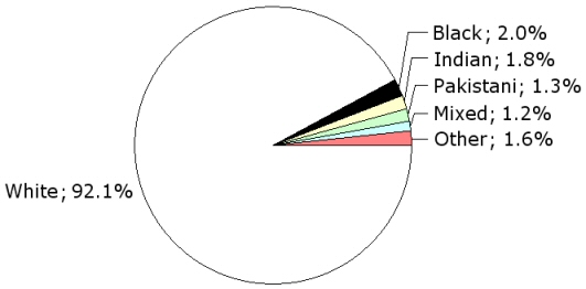 Ethnic Makeup Of United Kingdom Makeup Vidalondon